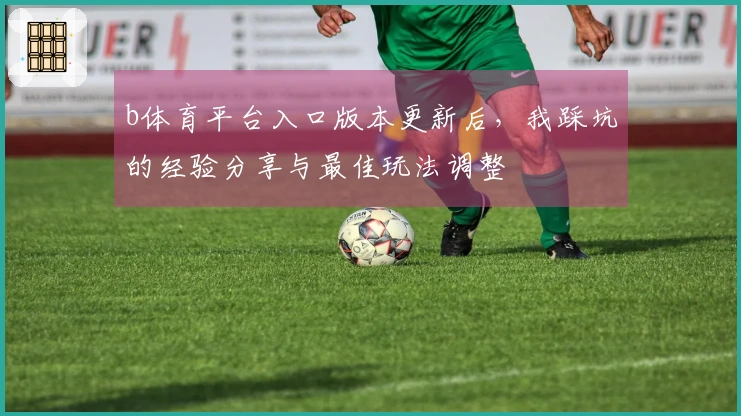 b体育平台入口版本更新后，我踩坑的经验分享与最佳玩法调整