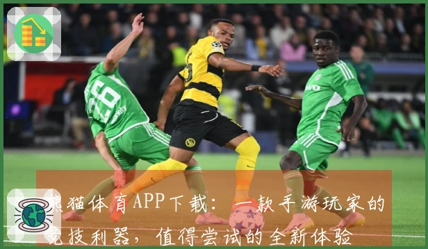 熊猫体育APP下载：一款手游玩家的竞技利器，值得尝试的全新体验