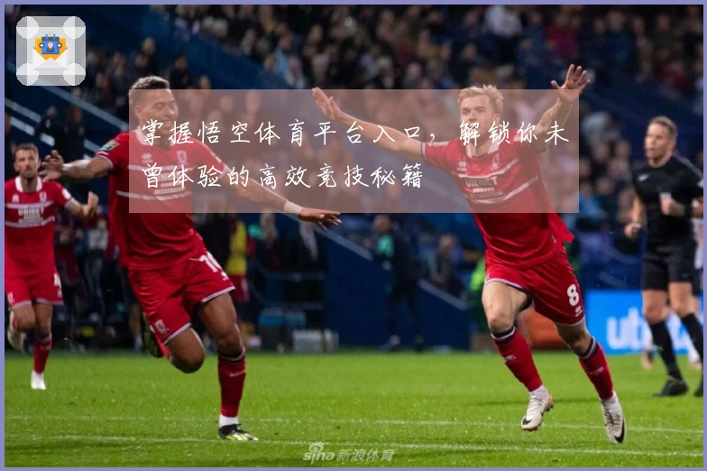 掌握悟空体育平台入口，解锁你未曾体验的高效竞技秘籍