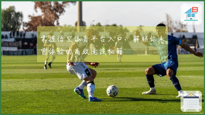 掌握悟空体育平台入口，解锁你未曾体验的高效竞技秘籍