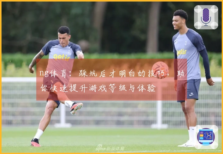 ng体育：踩坑后才明白的技巧，助你快速提升游戏等级与体验