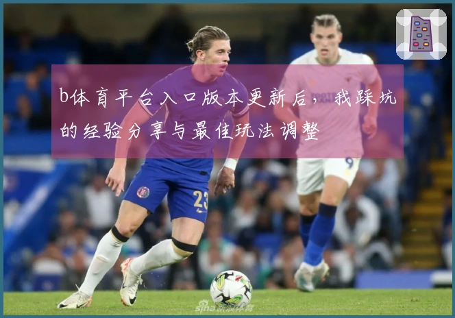 b体育平台入口版本更新后，我踩坑的经验分享与最佳玩法调整